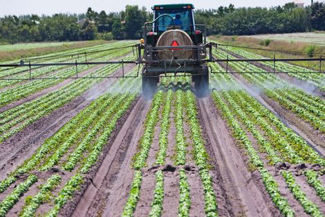 A Man Is Spraying Fertilizer On A Rice Field - Slaton, TX - Magline Inc