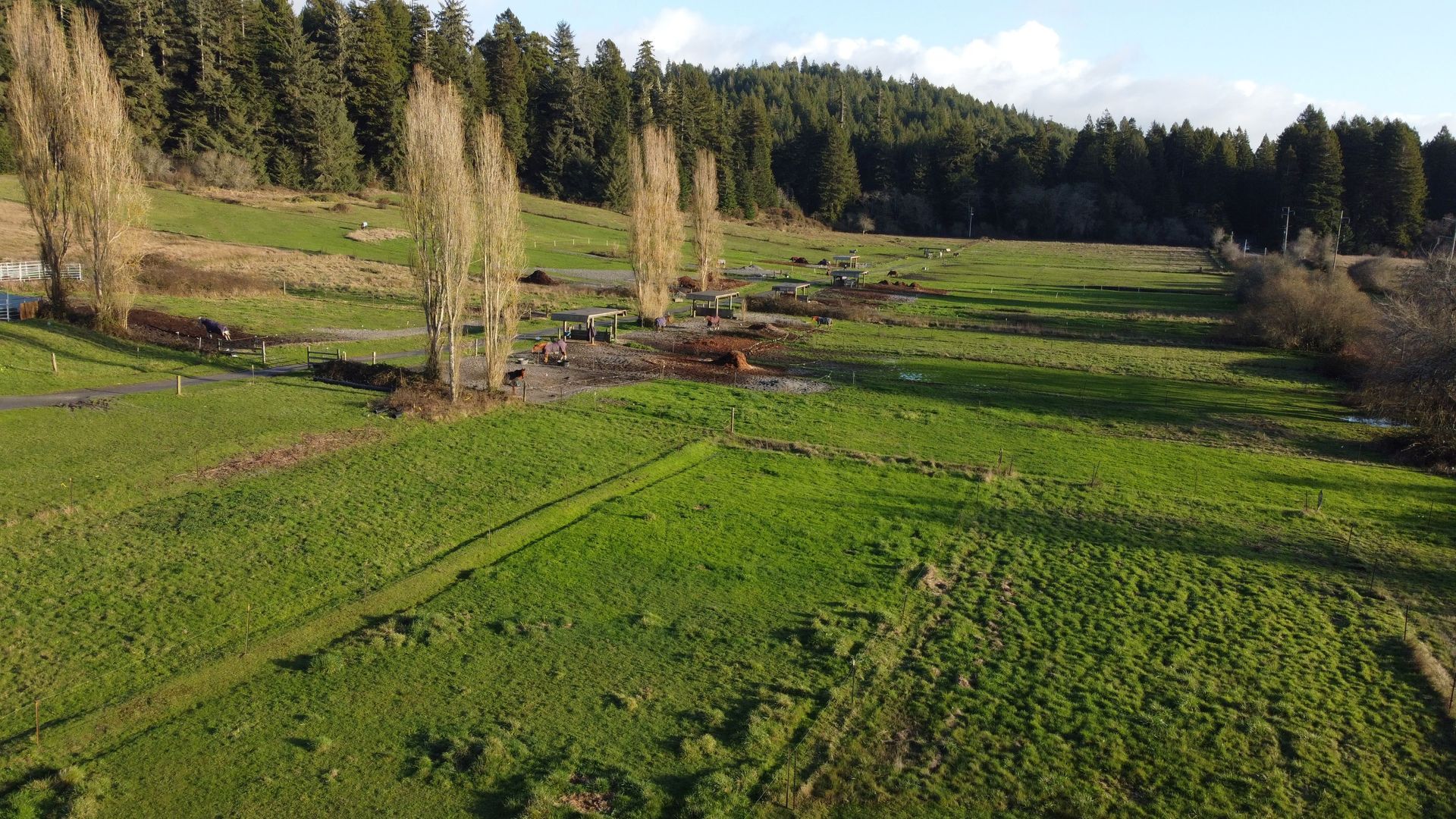 Amazing Fields — Eureka, CA — Freshwater Valley Stables