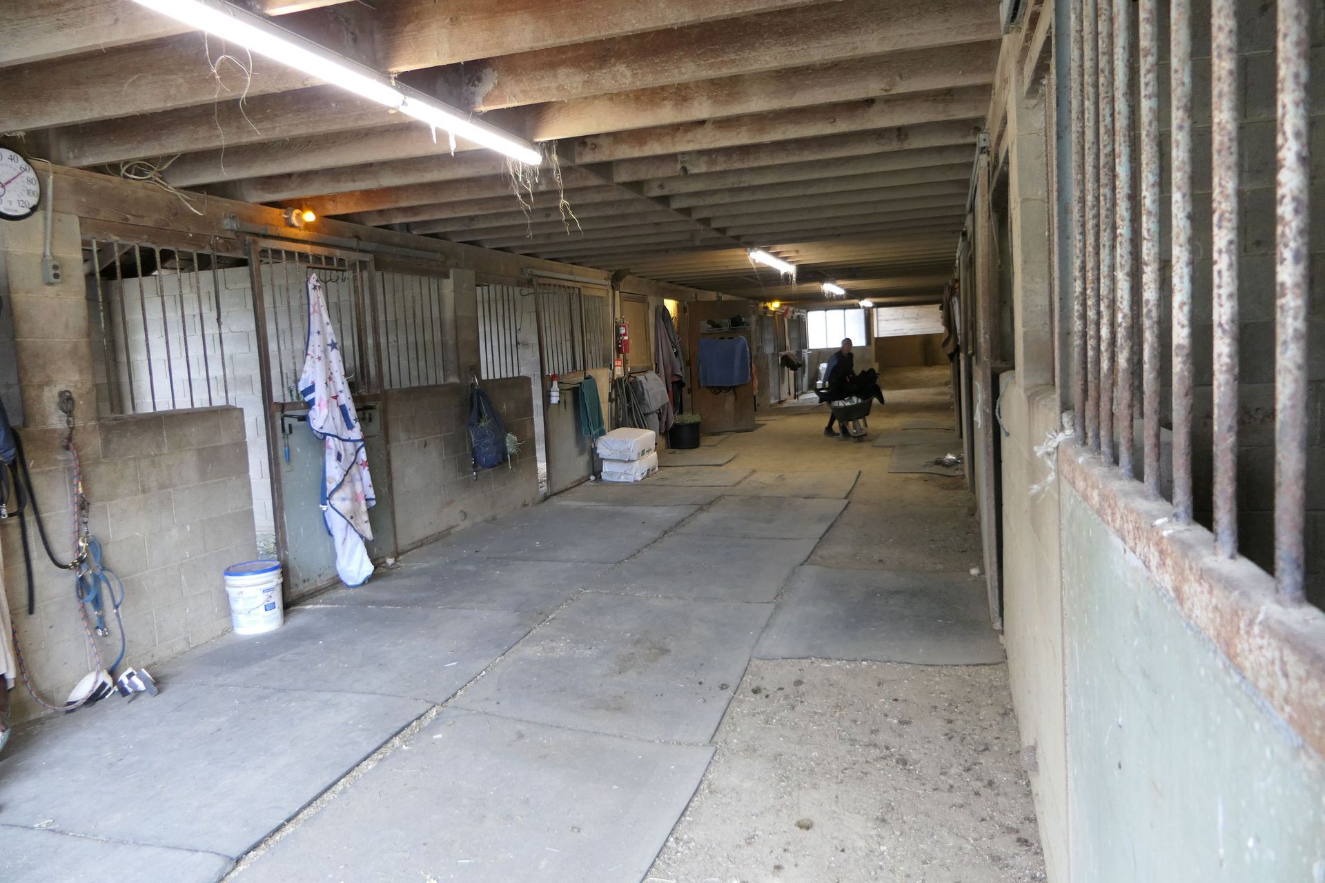 Horse Boarding #6 — Eureka, CA — Freshwater Valley Stables