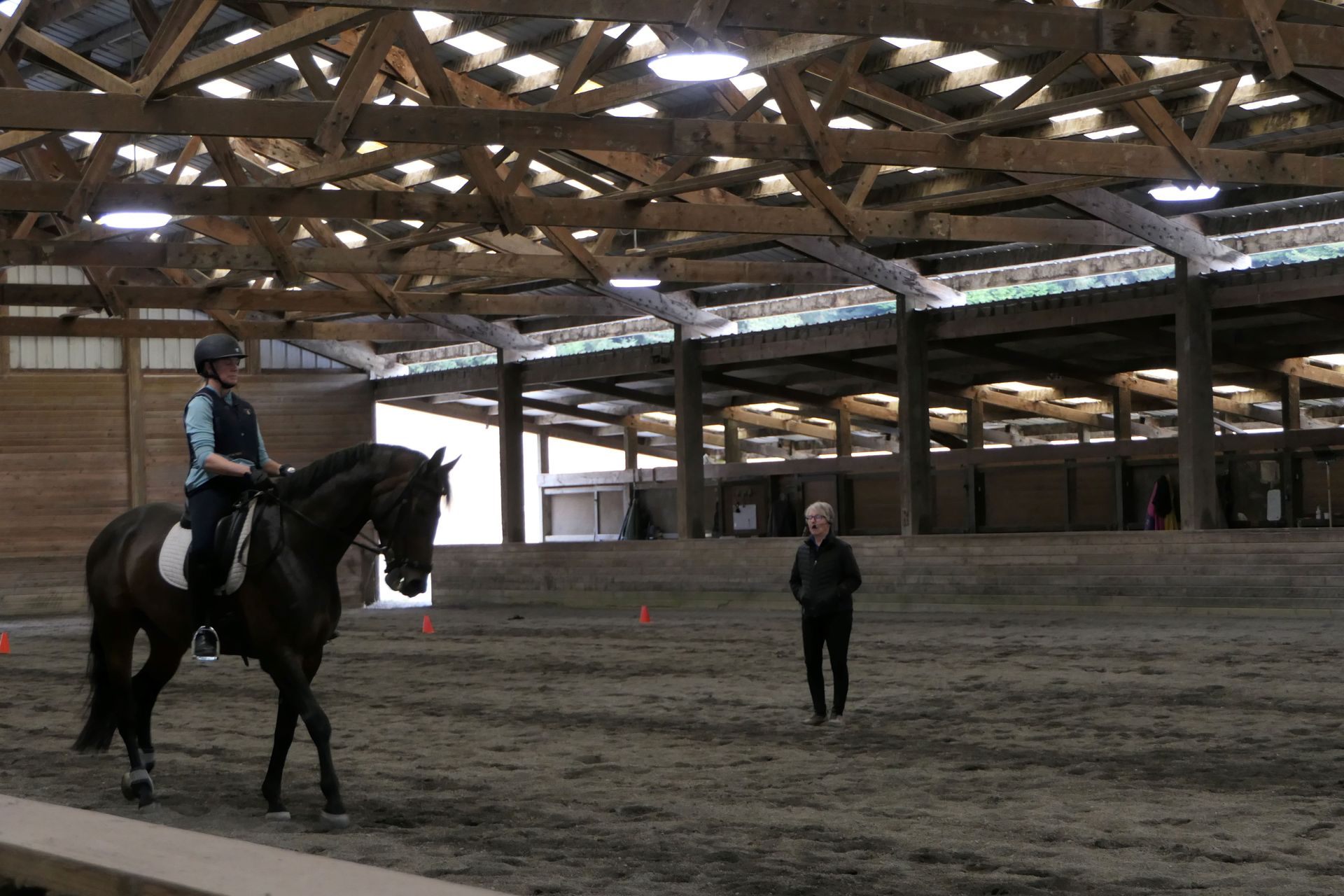 Amazing Horse — Eureka, CA — Freshwater Valley Stables