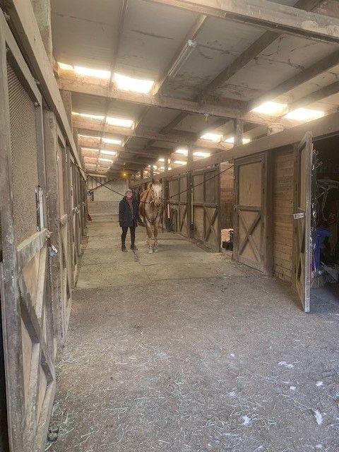 Amazing Horse Boarding — Eureka, CA — Freshwater Valley Stables