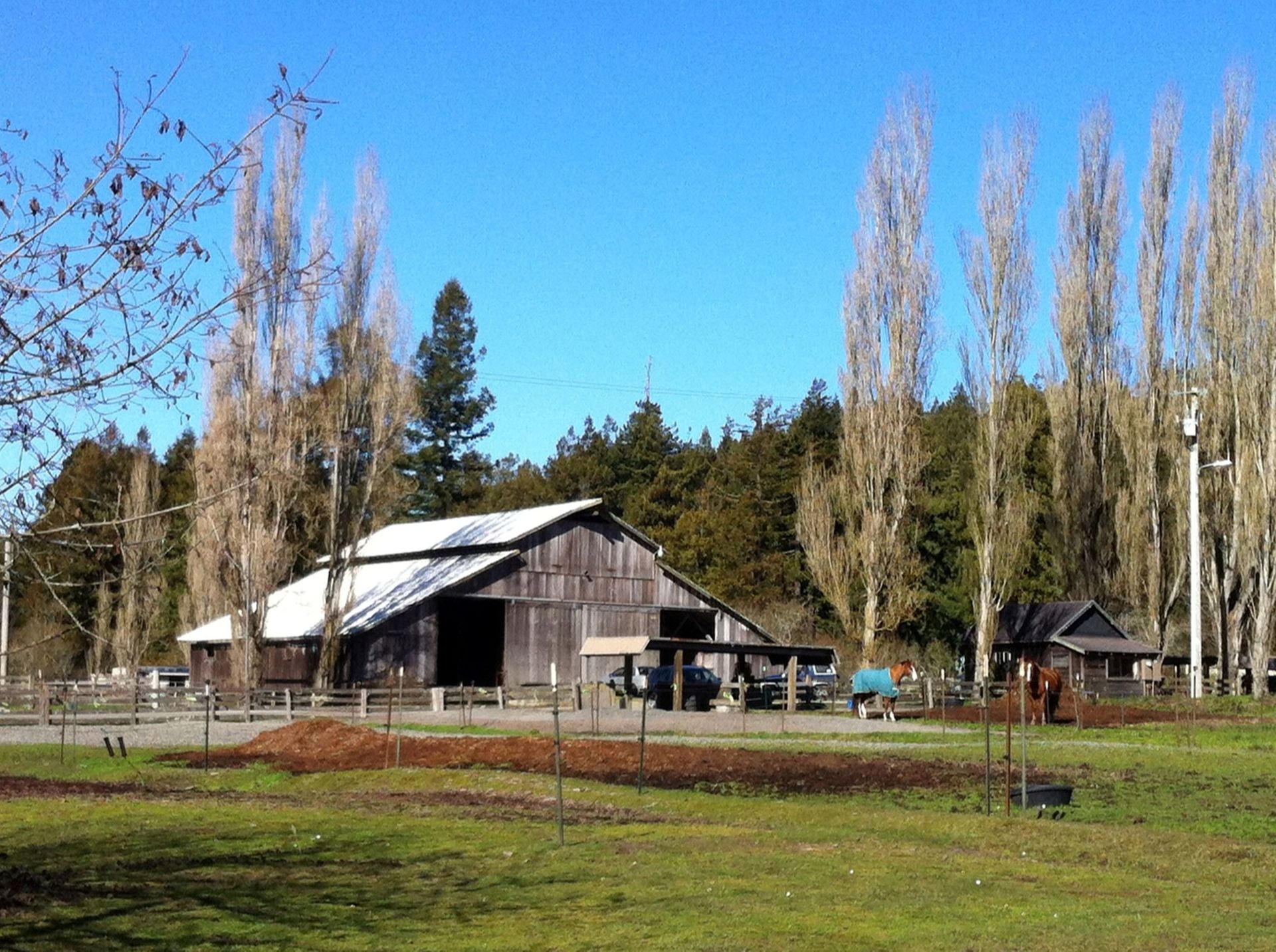 Horse Boarding — Eureka, CA — Freshwater Valley Stables