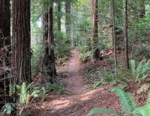 Horse Fields — Eureka, CA — Freshwater Valley Stables