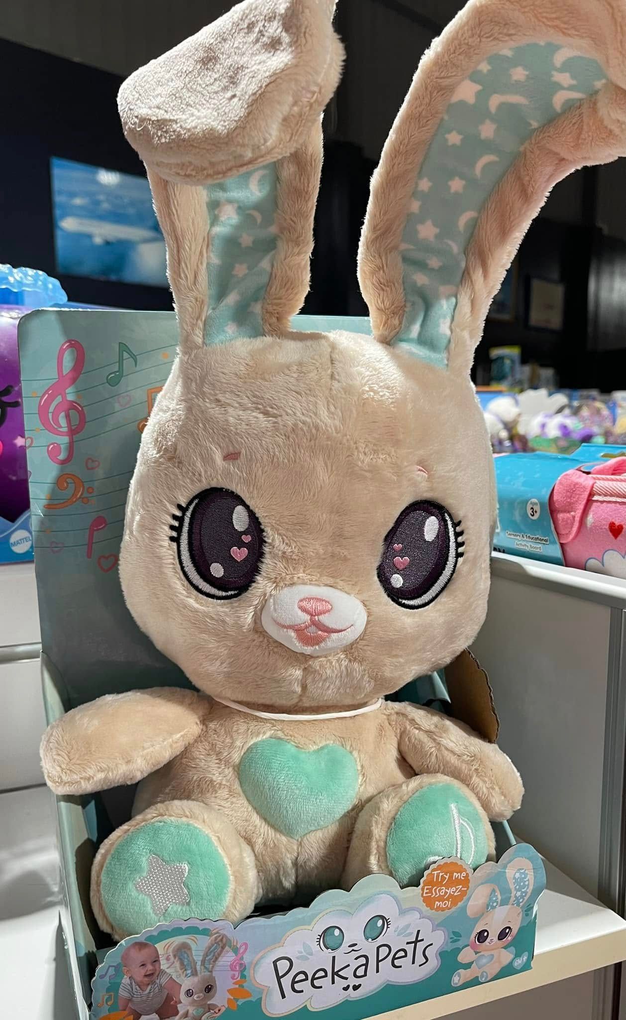 Stuffed Bunny With Big Eyes, Sitting in a Box, Tan Fur— Enterprise Electrics NT Pty Ltd in Tennant Creek, NT