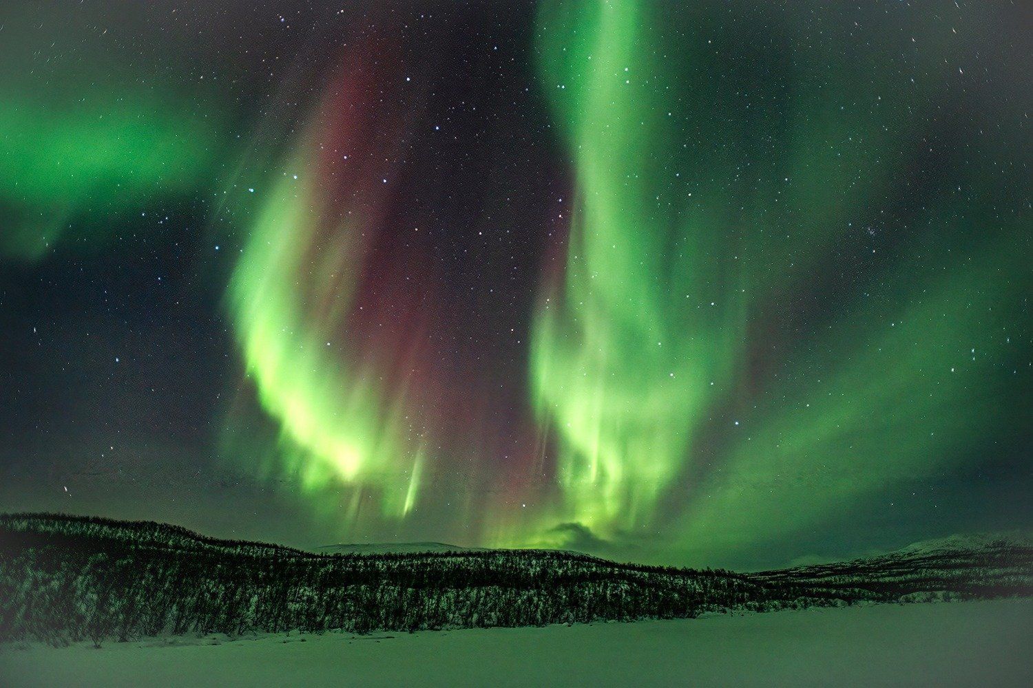 The aurora borealis is dancing in the night sky over a snowy landscape.