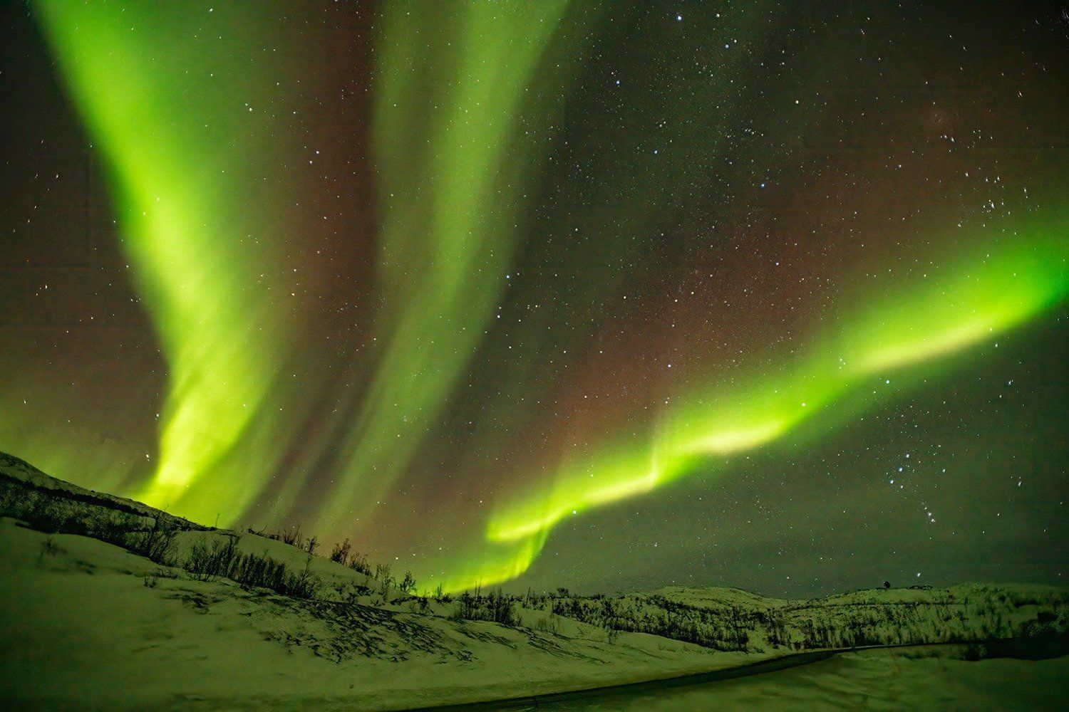 The aurora borealis is dancing in the night sky over a snowy landscape.