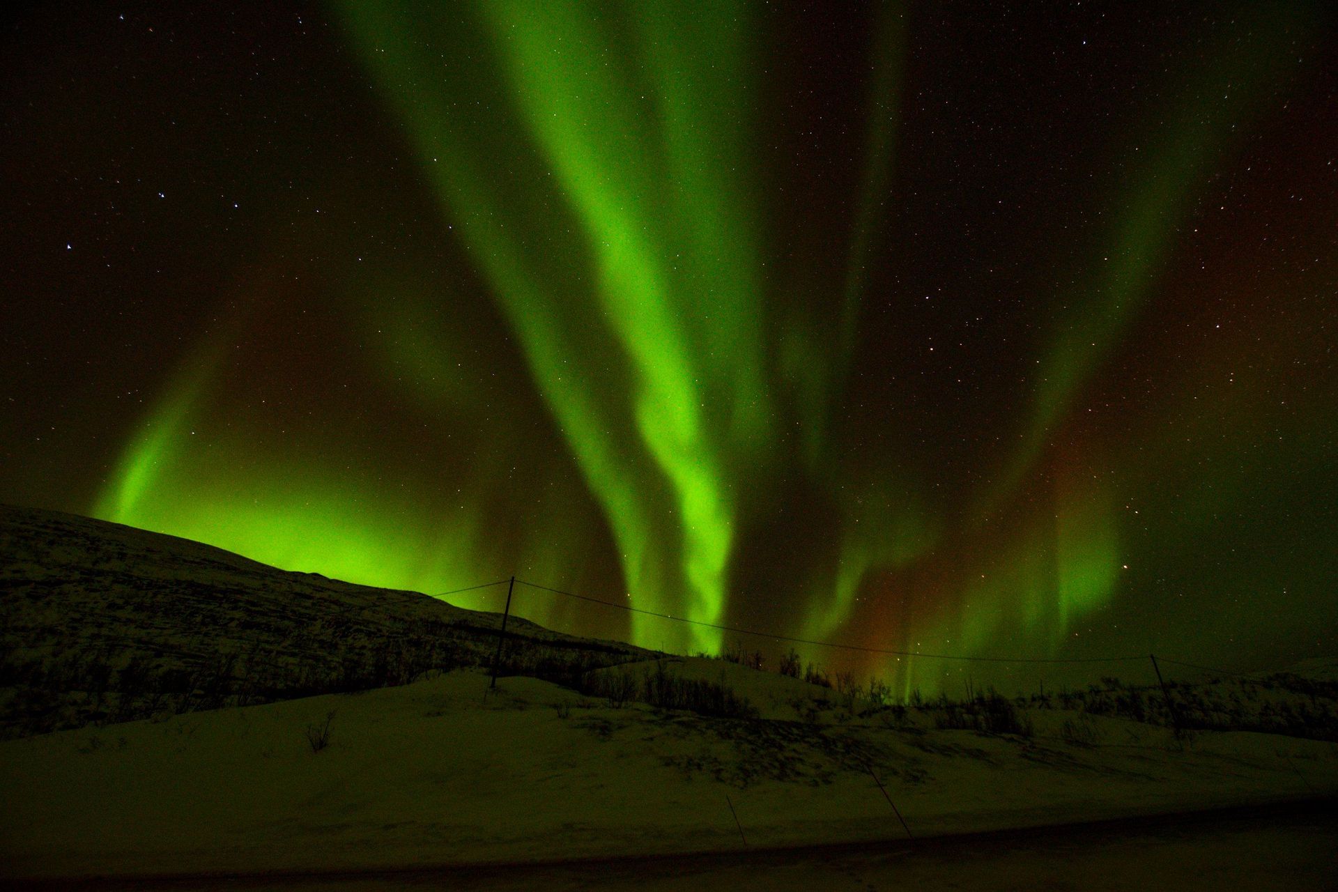 The aurora borealis is dancing in the night sky over a snowy landscape.