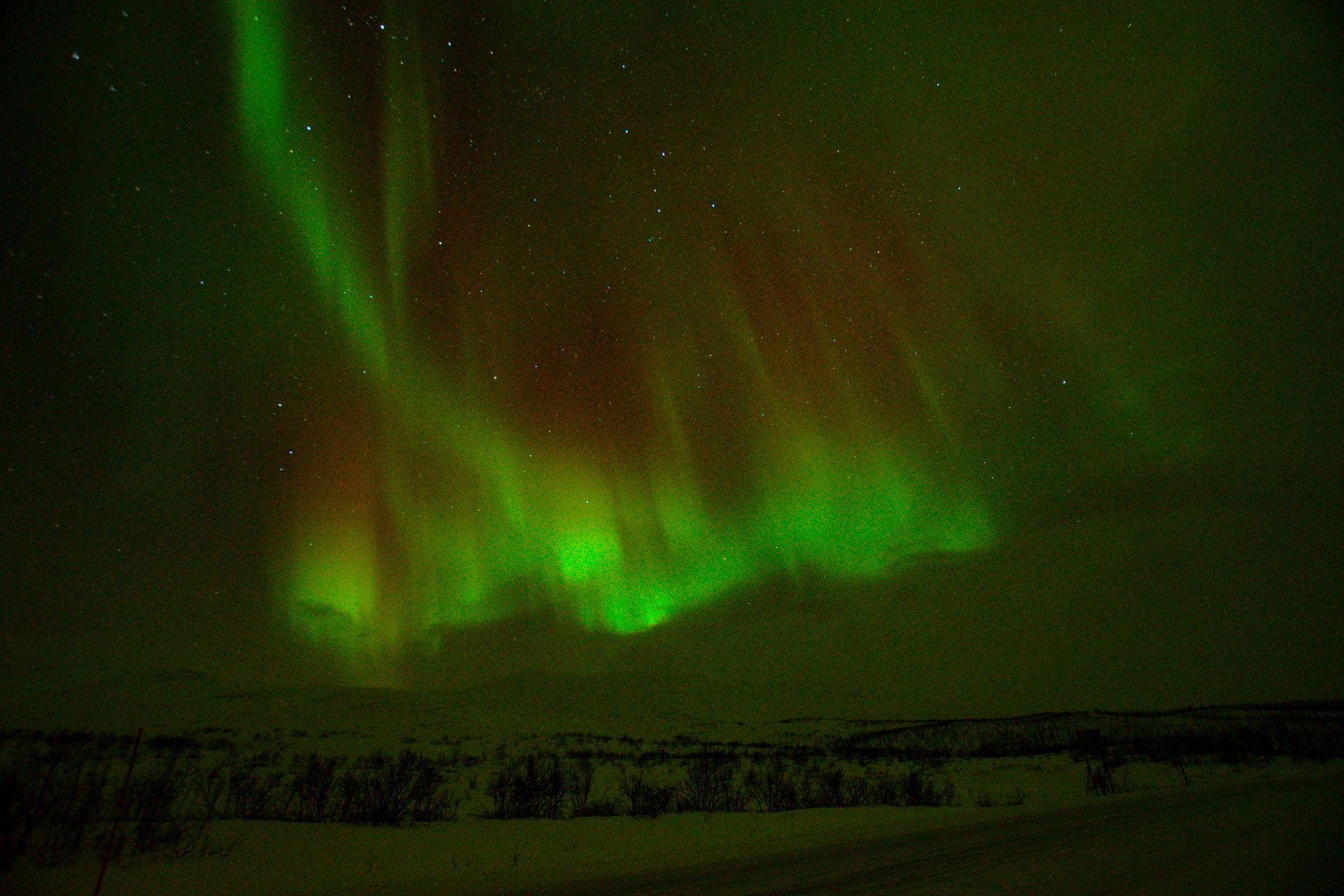 The aurora borealis is shining brightly in the night sky over a snowy field.