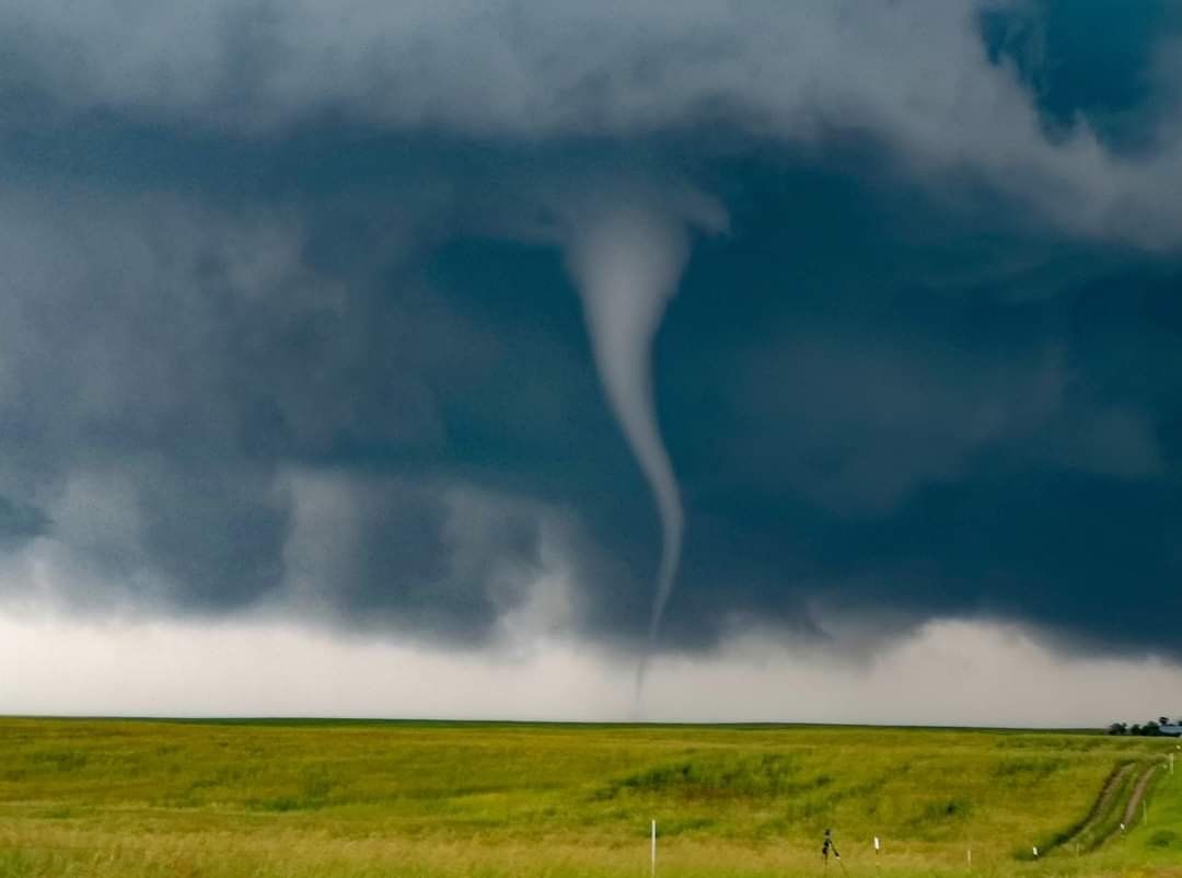 A tornado is moving through a grassy field with a dark cloudy sky in the background.