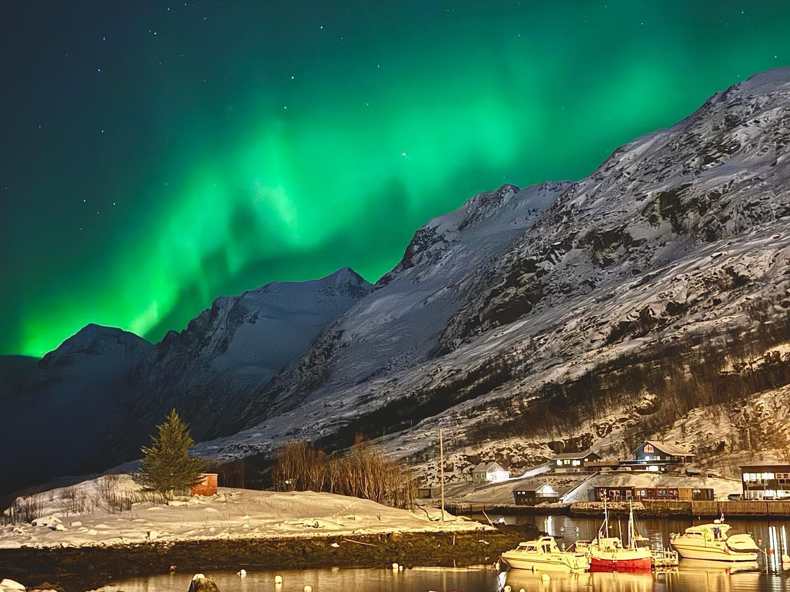 The aurora borealis is shining over a snowy mountain and a body of water.