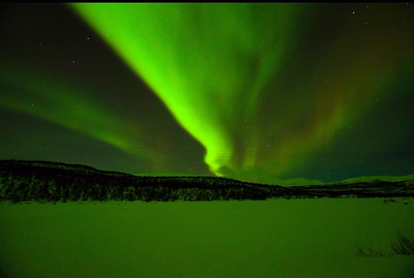 The aurora borealis is shining brightly in the night sky over a snowy field.