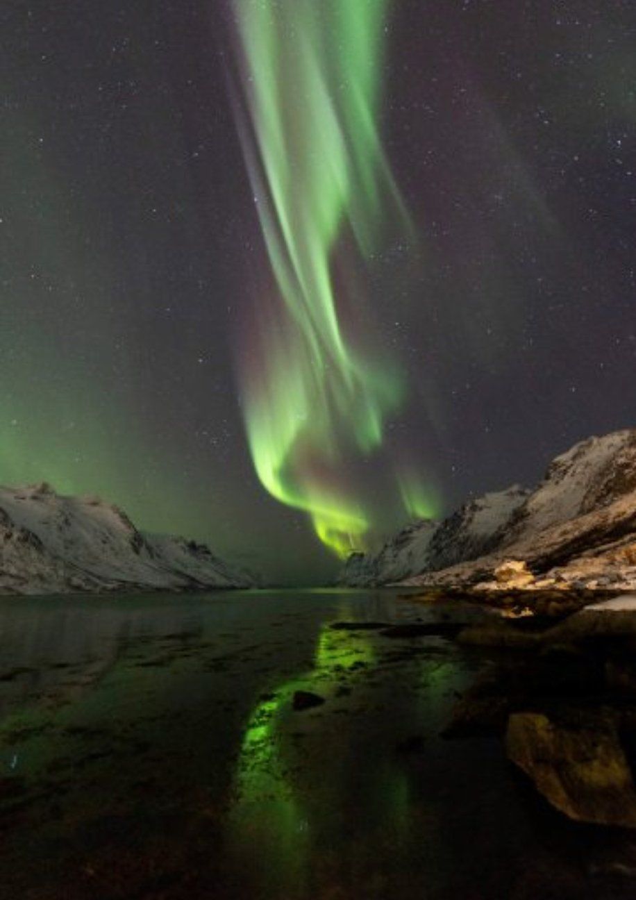 The aurora borealis is reflected in the water of a lake.
