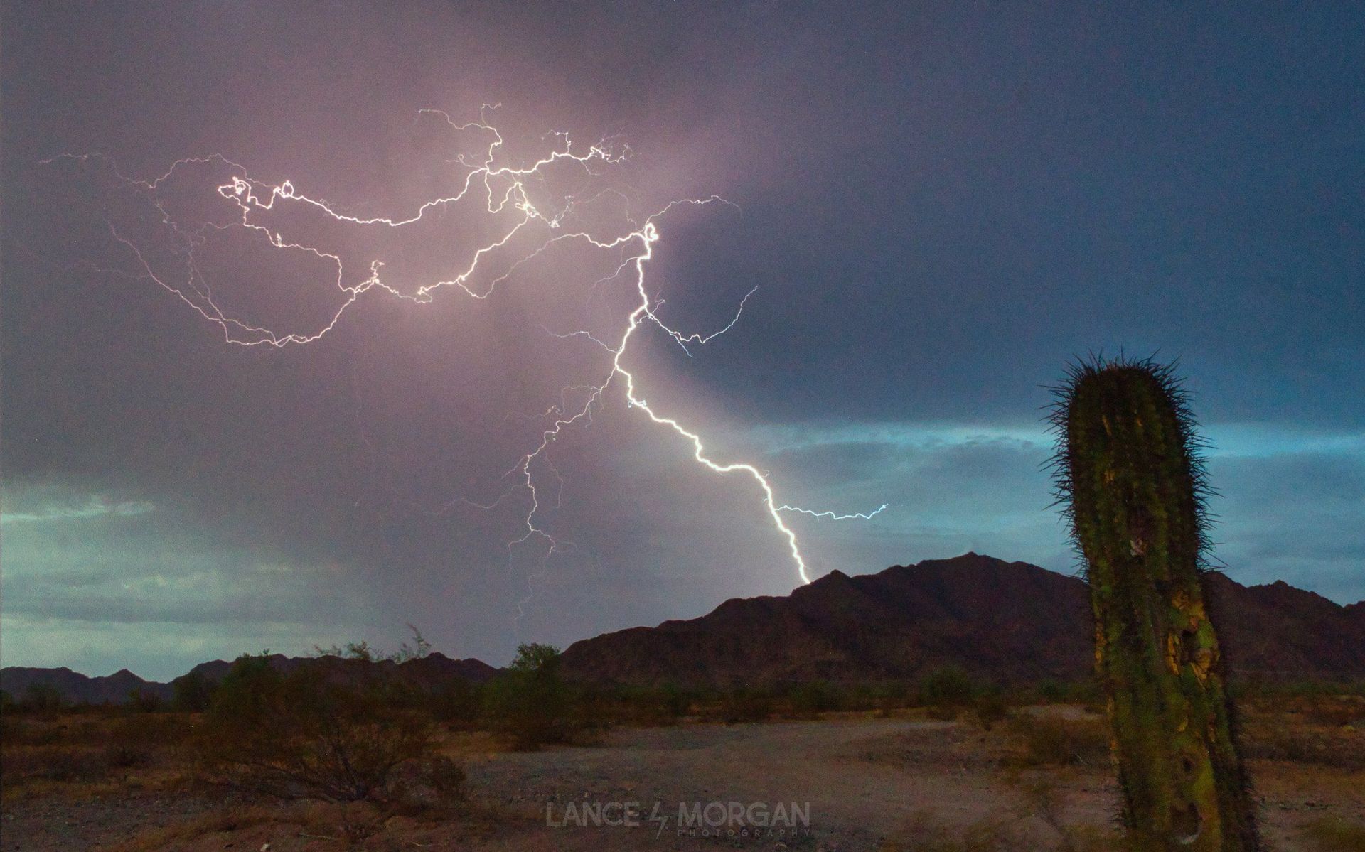 A lightning strike in the desert with a cactus in the foreground.