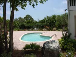 Swimming Pool with Two Handrails — Sarasota, FL — Custom Pavers of Southwest Florida