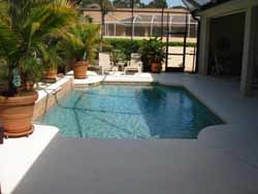 Pool with Plants — Sarasota, FL — Custom Pavers of Southwest Florida