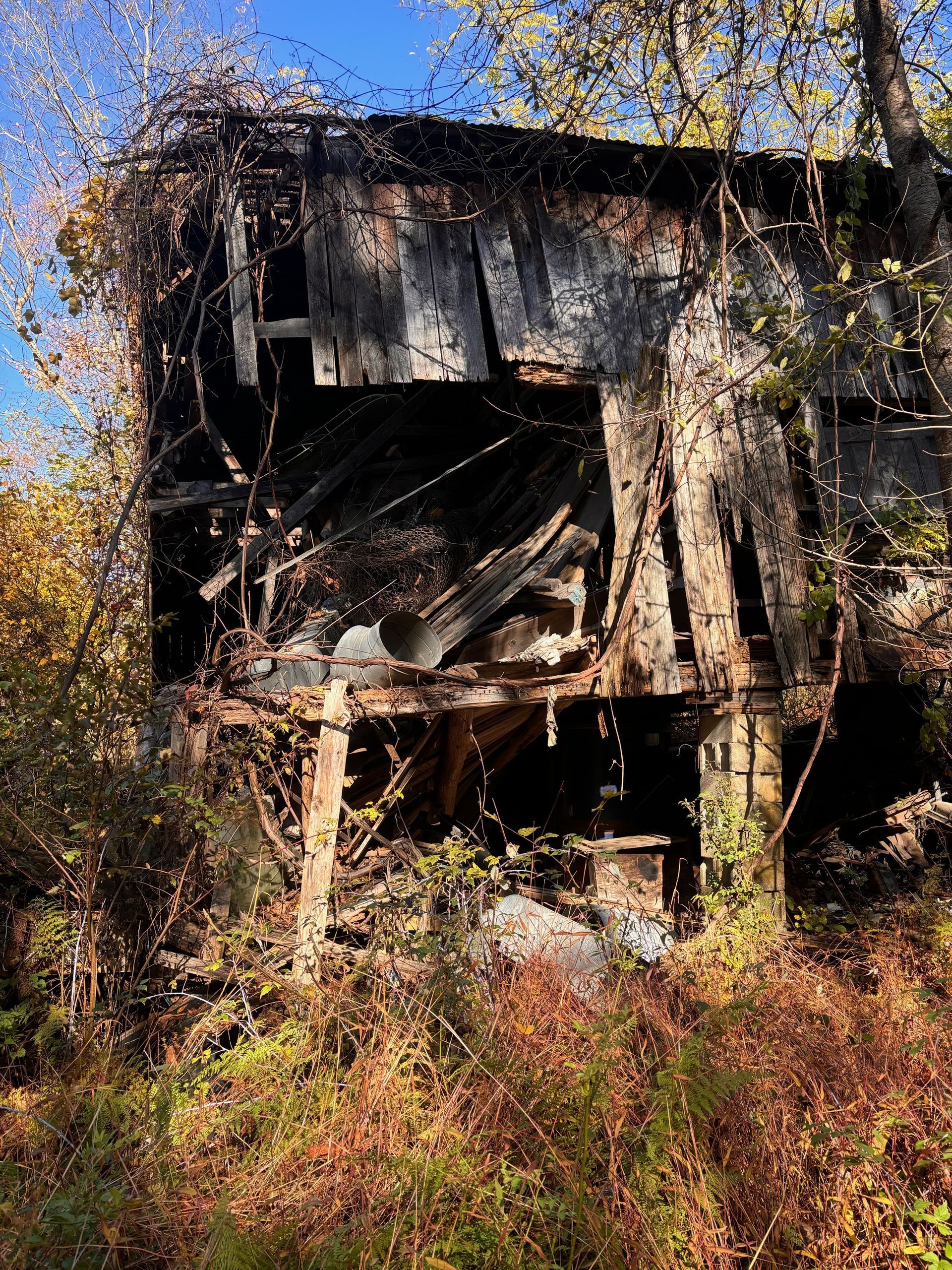 An old barn is sitting in the middle of a forest surrounded by trees.
