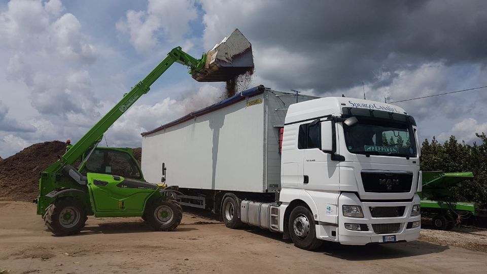 scarrabili per spurgo