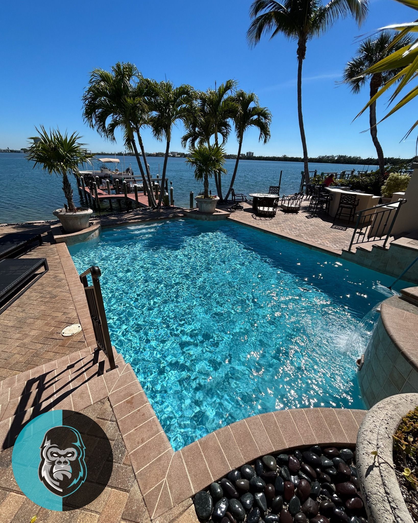 A large swimming pool surrounded by palm trees and a body of water.