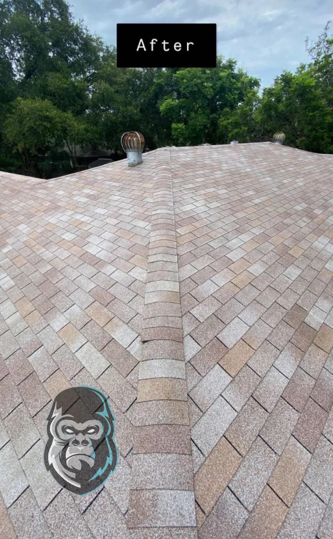 A picture of a brick roof before and after being cleaned.