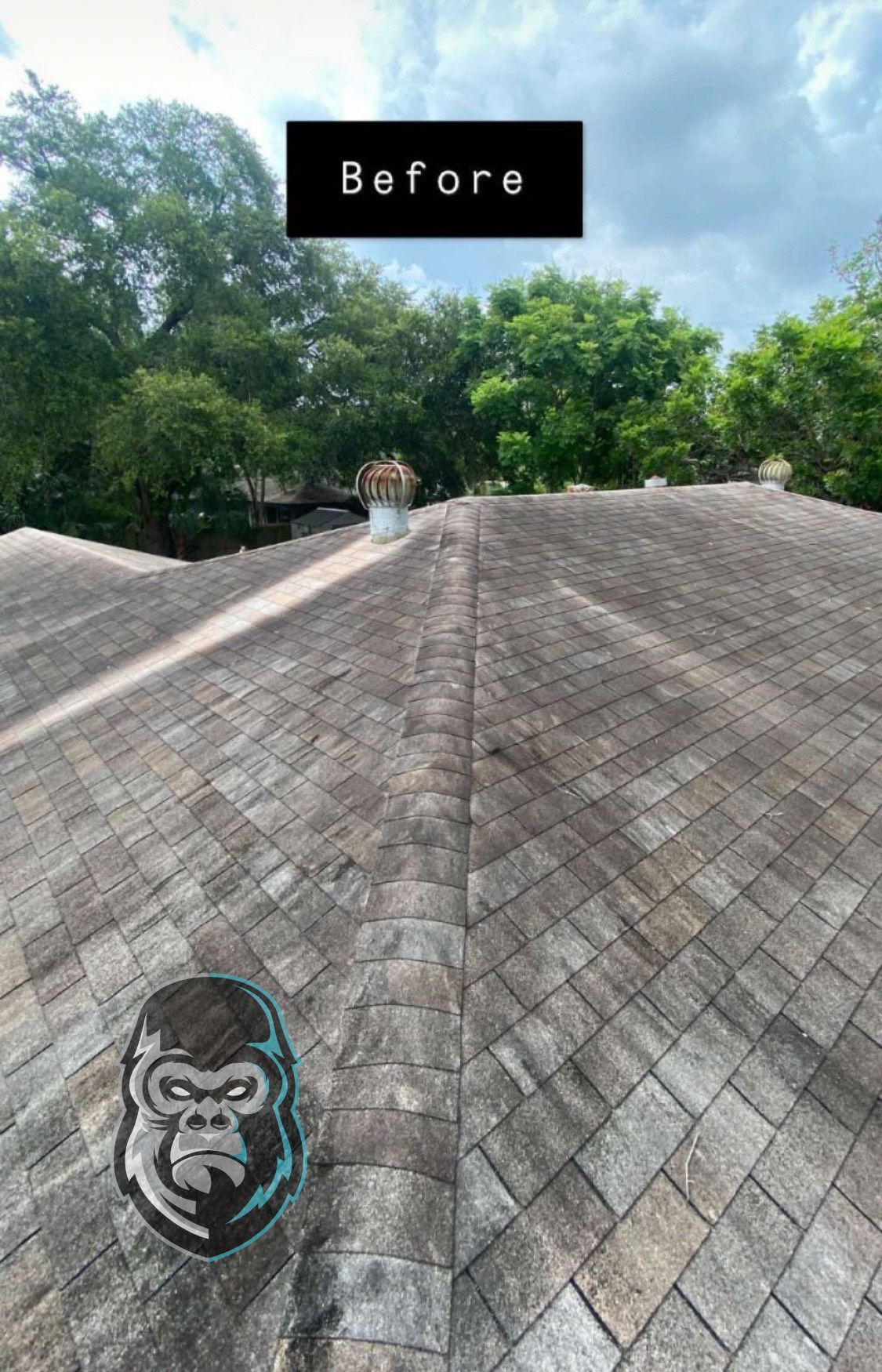 A gorilla is sitting on the roof of a house.