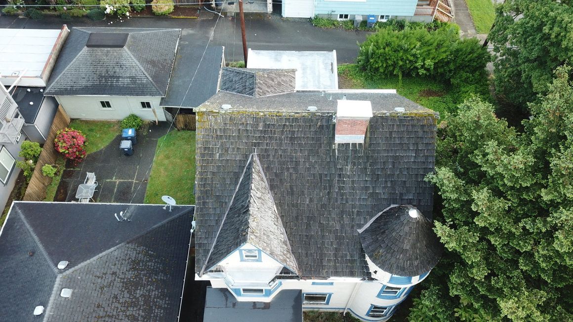 Roof Moss | Olympia, WA | Supreme Roofing LLC