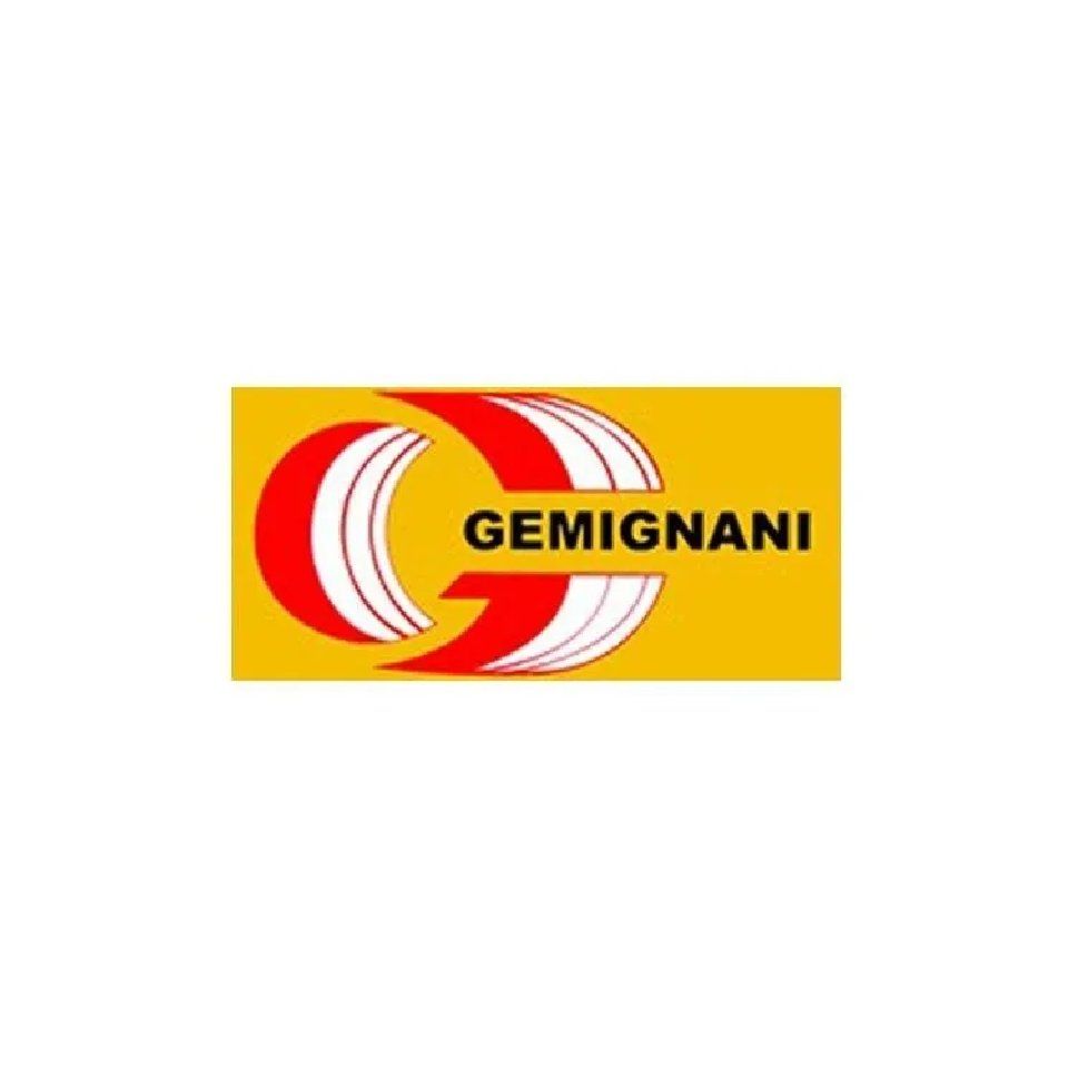 Logo - Gemignani