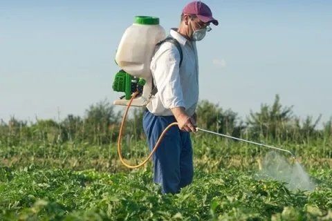 Lavaggio piante con pesticida
