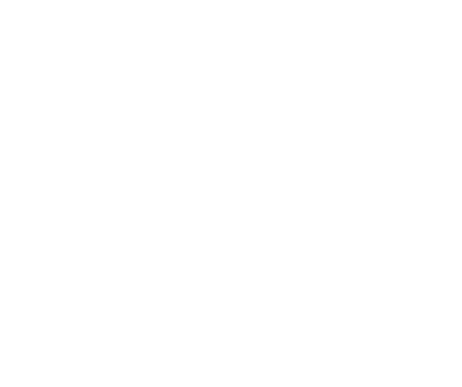 Defence shield