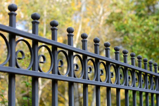iron fence Palmerston