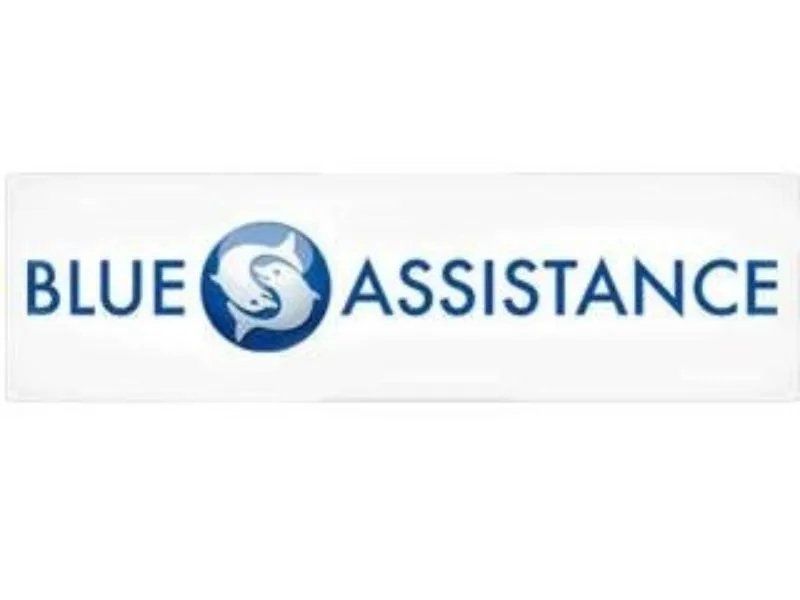 Logo Blue Assistance