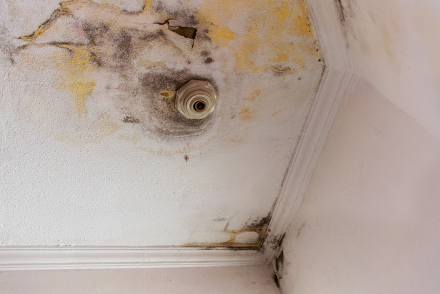 6 Signs You Might Have a Hidden Water Leak in Your Home