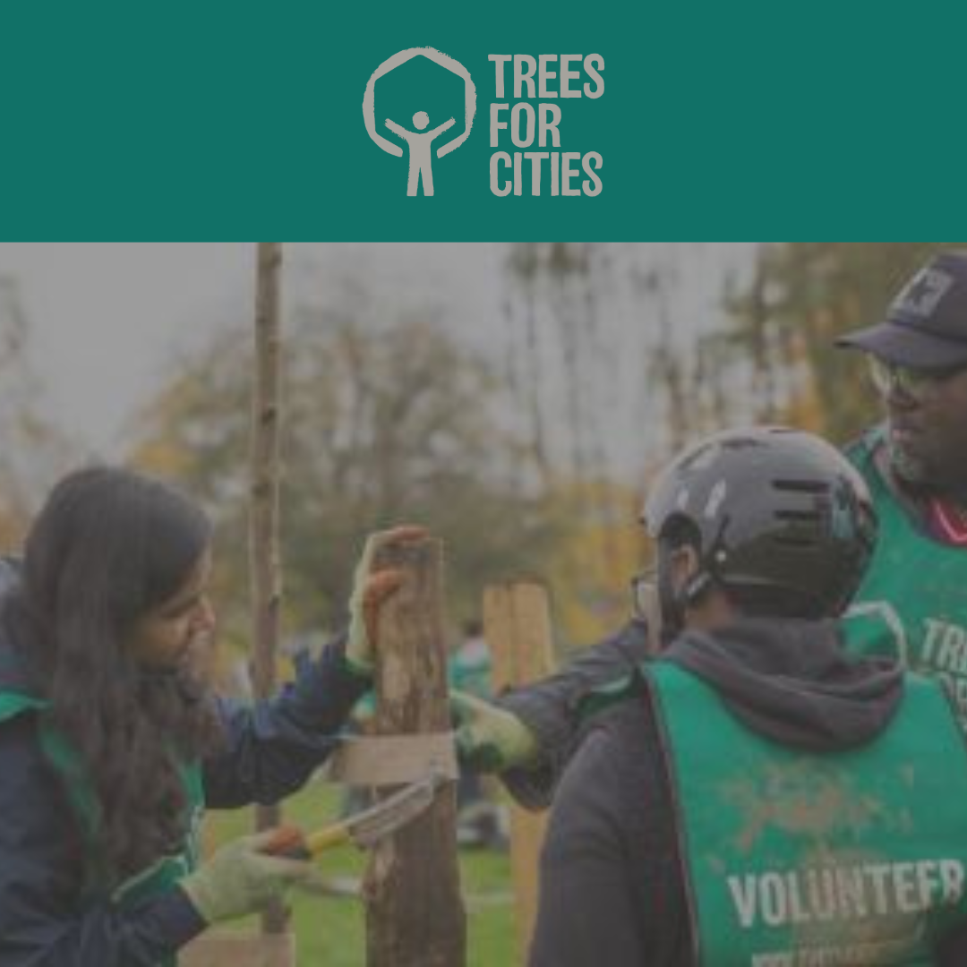 Trees for Cities Anderson & Sons Featured Image