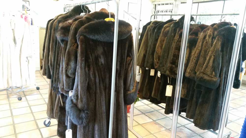 Set of Fur Clothes