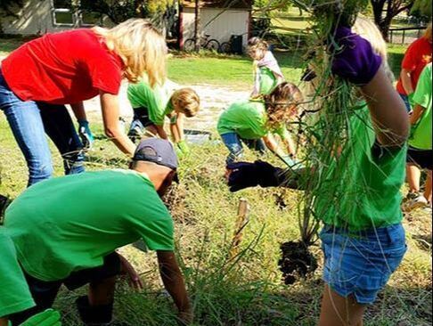 Children in green shirts planting seedlings in a sunny garden
