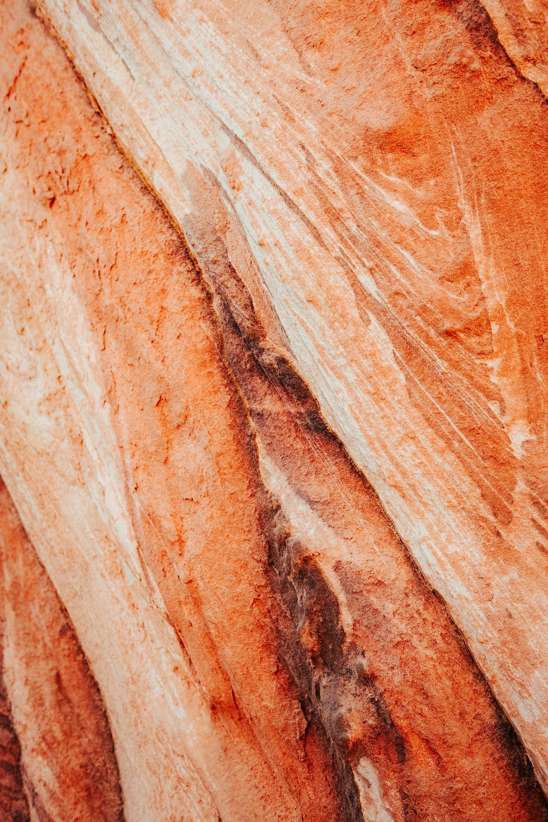 Close-up of layered sandstone with swirling patterns in shades of orange, tan, and brown.
