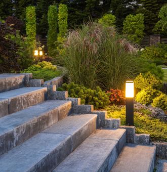 a set of stairs leading up to a lush green garden