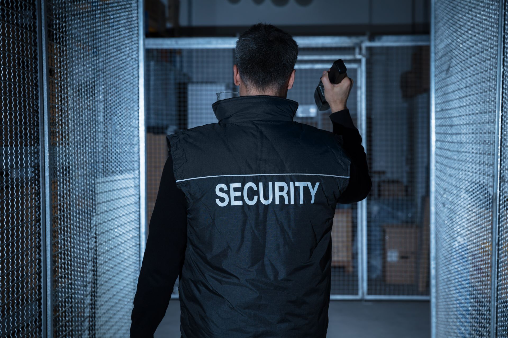 Security guard, in vest with