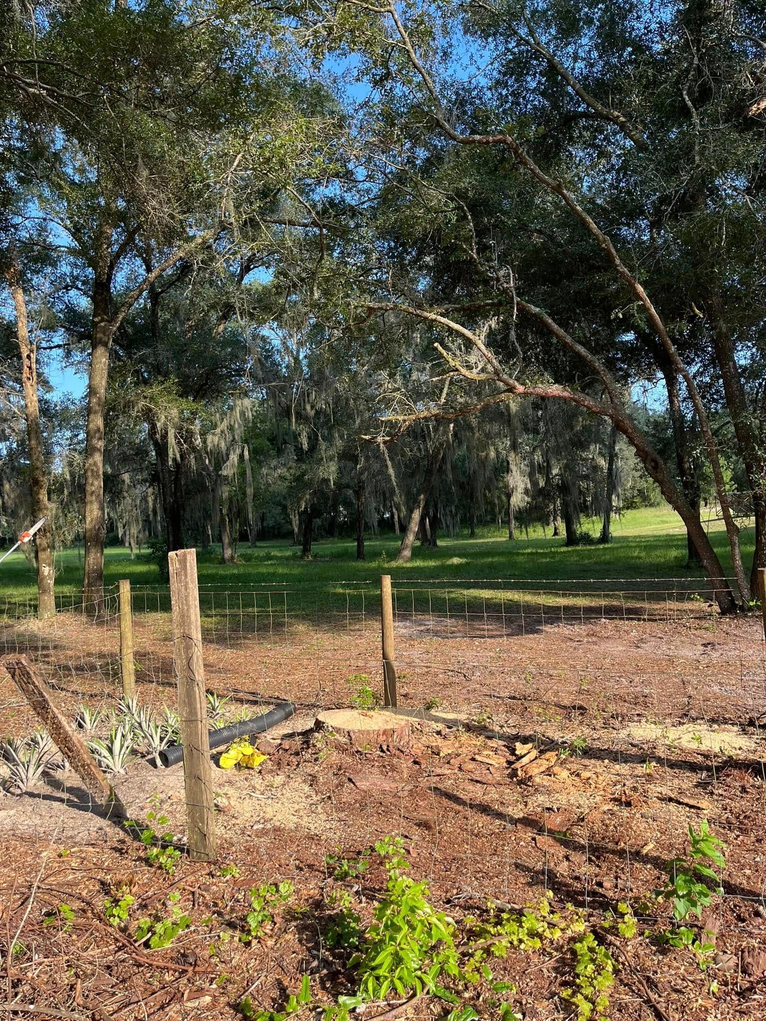 Field with trees in the background, wood posts in the foreground. Sunlight, brown soil.