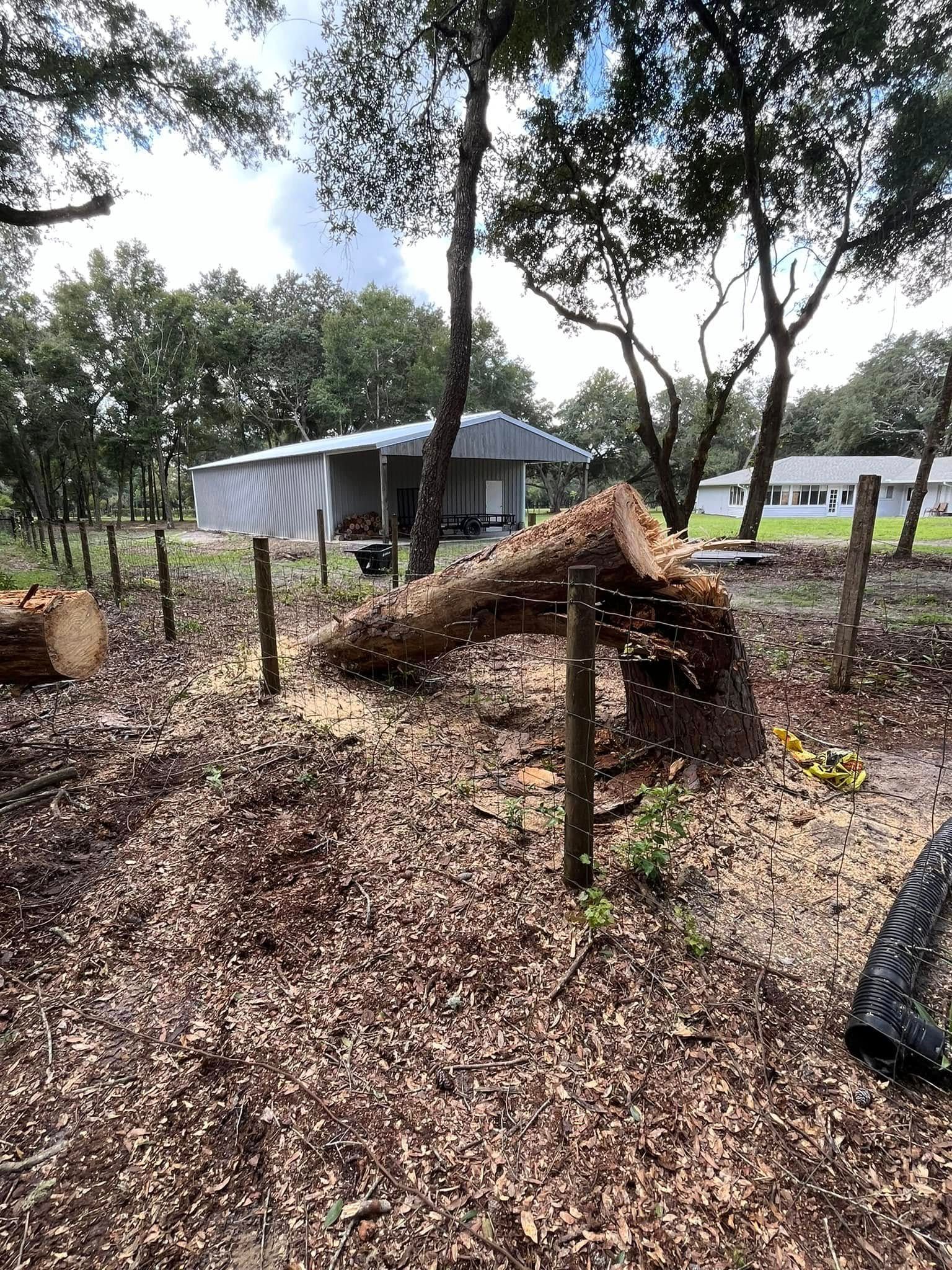 A fallen tree trunk inside a wooden fence with a building in the background.