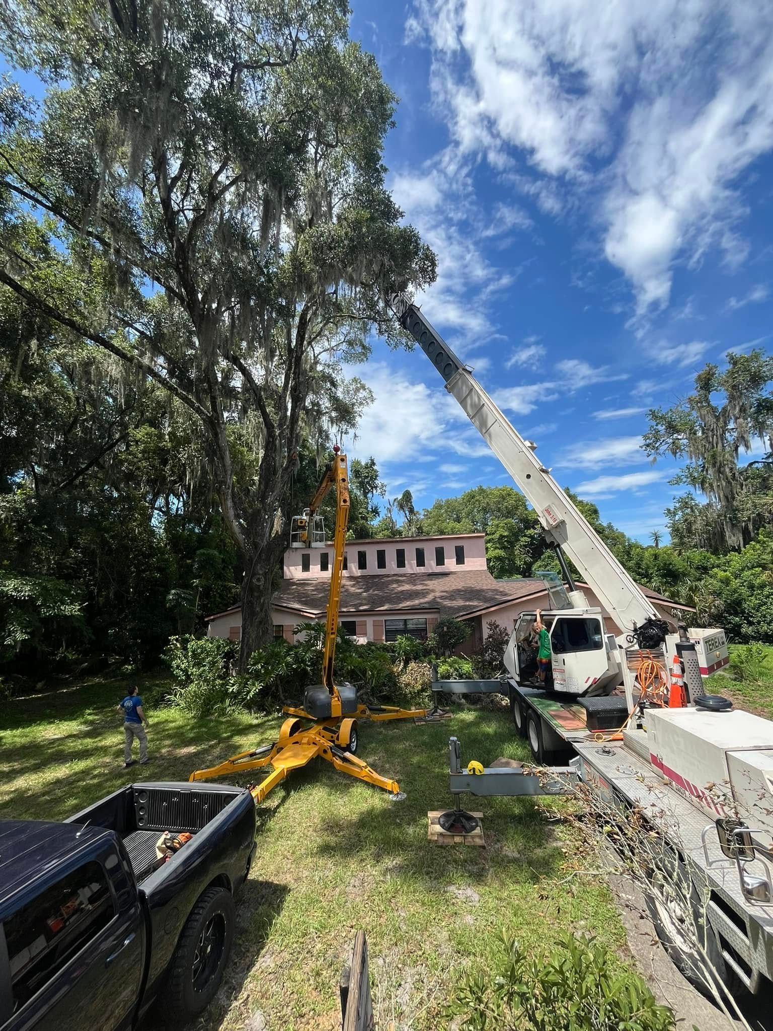 Crane removing tree branches near a house on a sunny day.