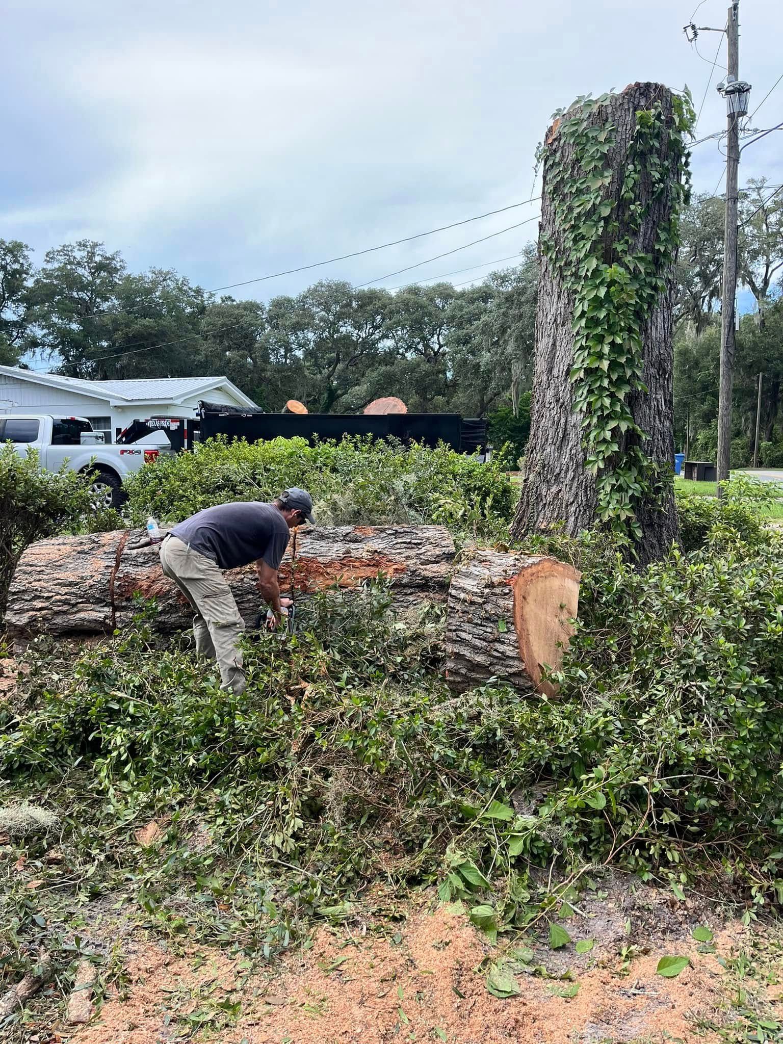 Man cutting a fallen tree trunk, overgrown with vines. Outdoors, cloudy sky.