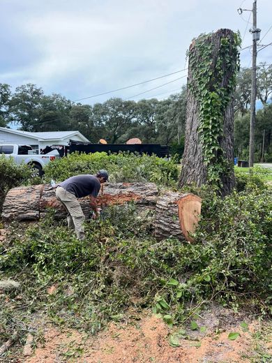 Man cutting debris near a tree stump covered in vines, outdoors.