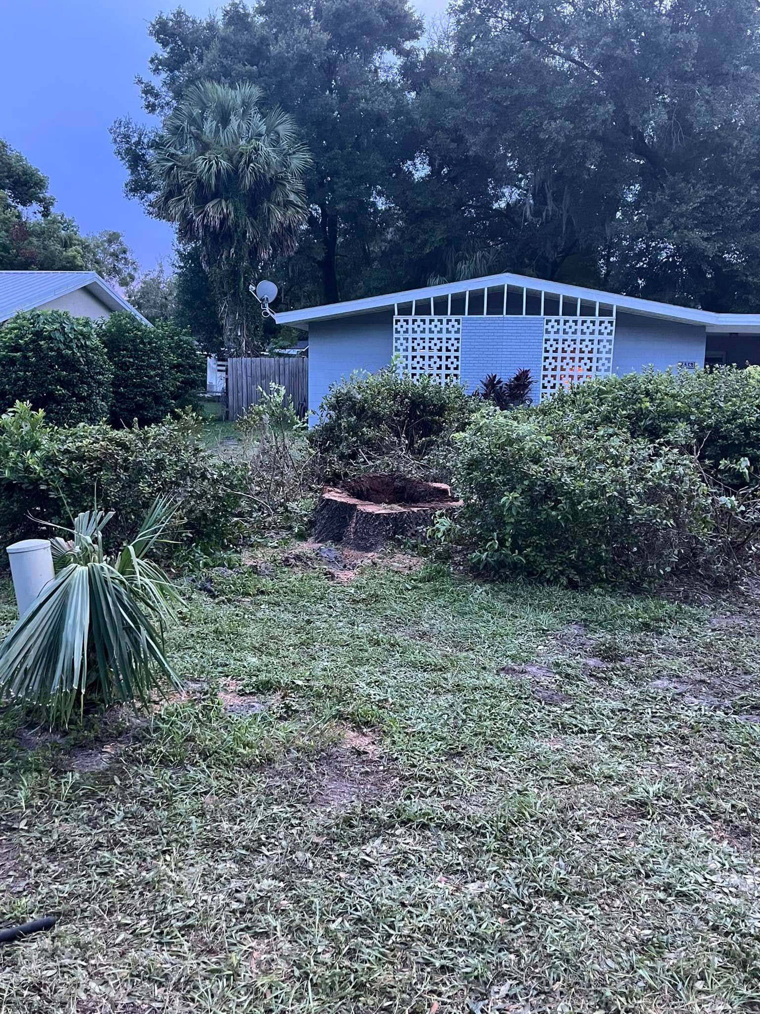 Blue house with white lattice, overgrown bushes, and yard in front.