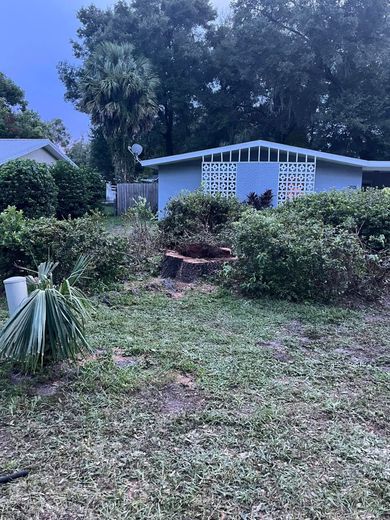 House with overgrown yard; bushes surround a walkway leading to the front door.