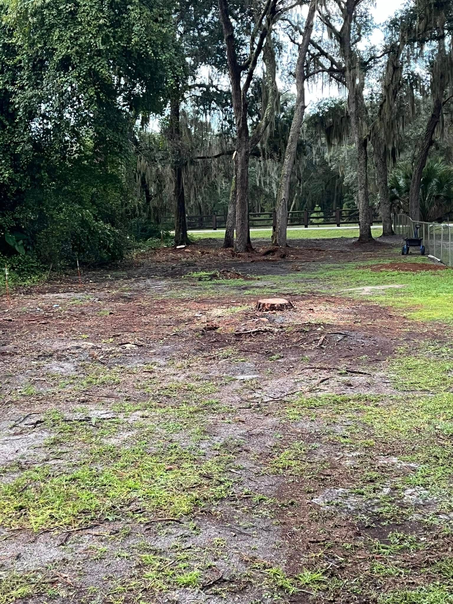 Cleared area with visible tree stumps, surrounded by green grass and trees.
