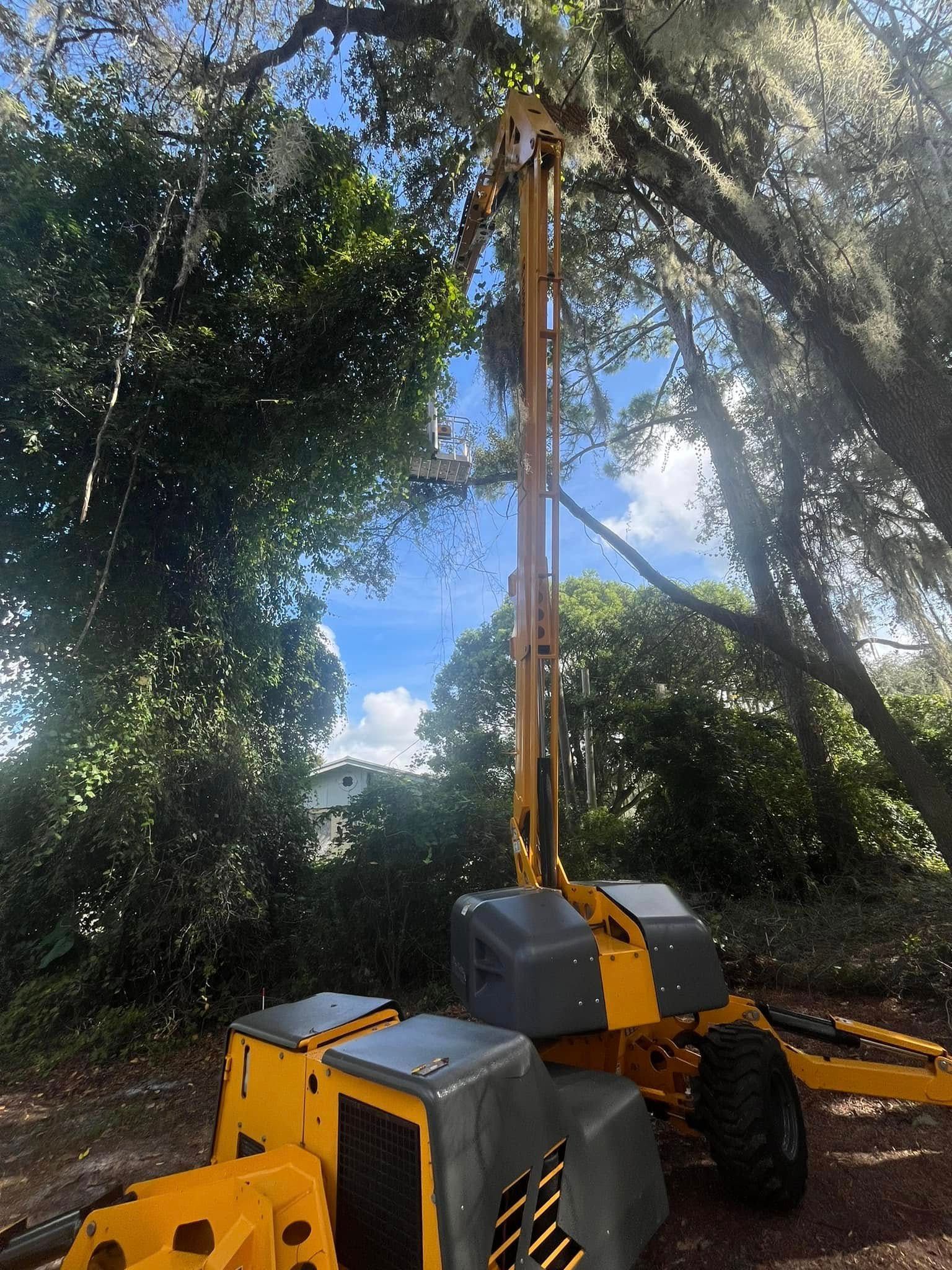 Yellow drilling rig in a wooded area; tall mast extended towards the sky.