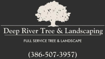Logo for Deep River Tree & Landscaping: a beige tree, white text on black background, and phone number.