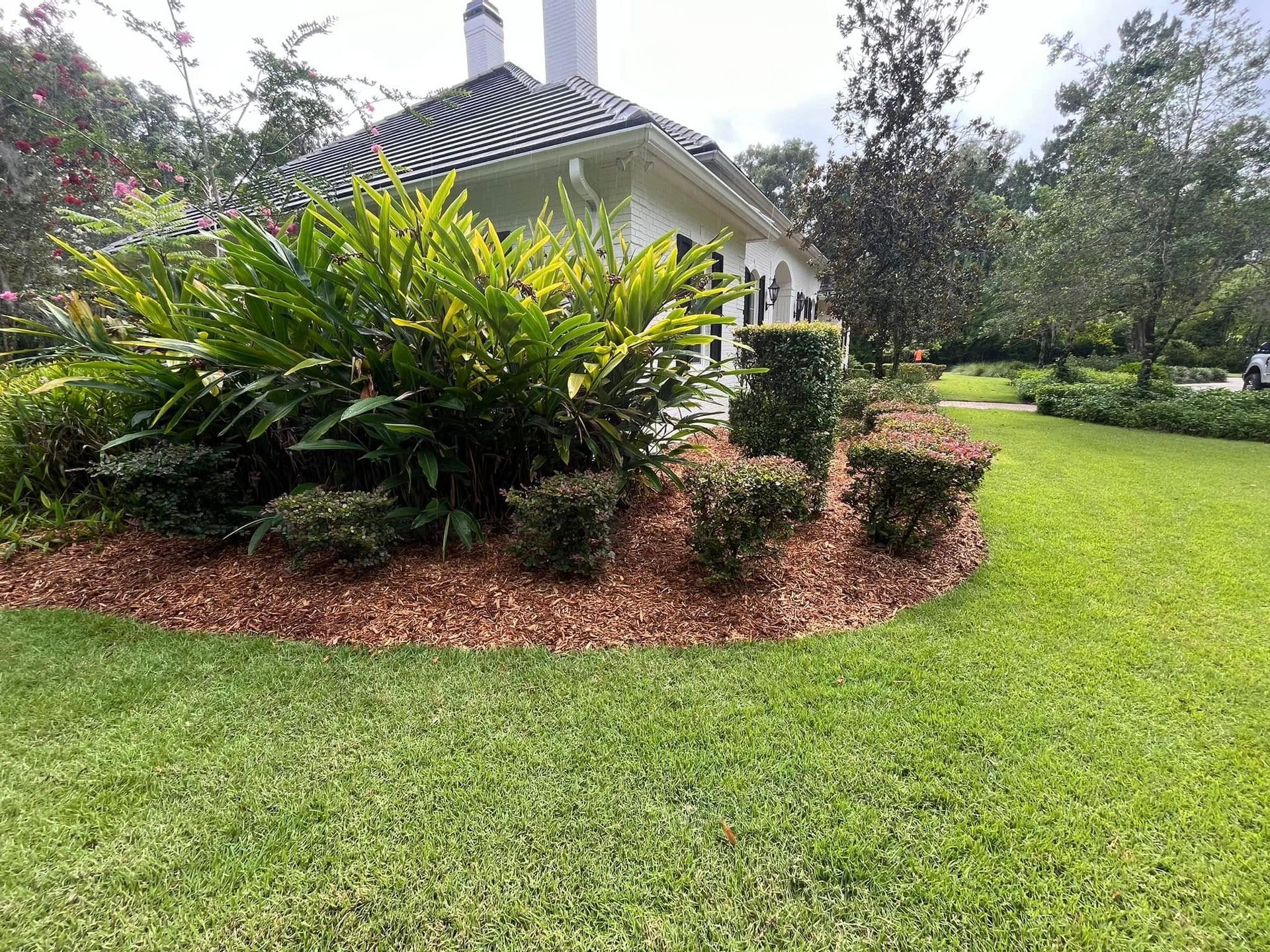 Well-manicured front yard with green bushes, brown mulch, and white house with black roof.