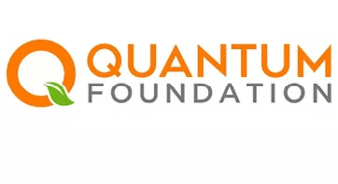 Quantum Logo