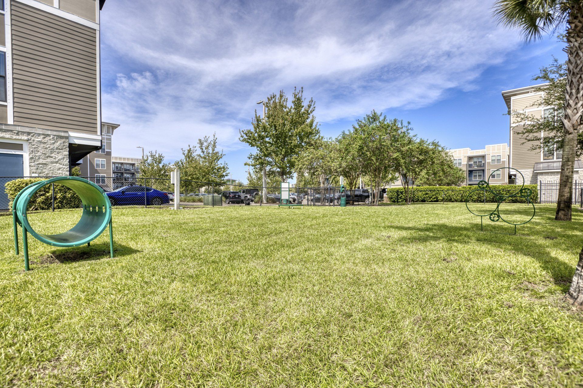 grass area outside at NoHo Flats